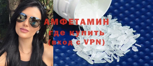 гашик Пересвет