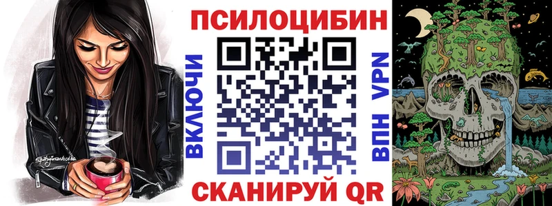 Псилоцибиновые грибы GOLDEN TEACHER  даркнет сайт  kraken вход  Зеленоградск 